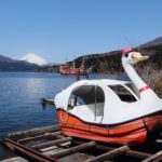 Fuji Bild 11
