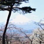 Fuji Bild 23