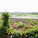 Luang Namtha Bild 7