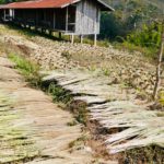 Luang Namtha Bild 15
