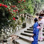 Nara Bild 5