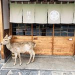 Nara Bild 7