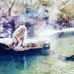 Unser Roadtrip durch Japan Bild 1